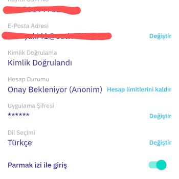 Oldubil Hesap Onayı Sorunsalı