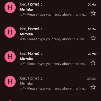 Hornet Maile Geri Dönmüyor