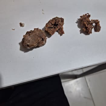 Emin Et Bir Markanın Dana Kavurma Ürününde Sinir Ve Kemik Rastlandı