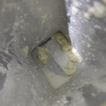 Torku Bozuk Süt Ve Sütün İçinde Kıl Ve Yeşil Parçacıklar Olması