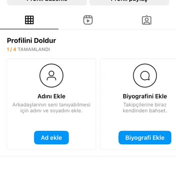 Instagram'ıma Giremiyorum