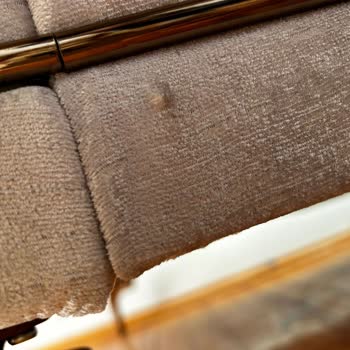 Bellona Tel Mağazacılık Sorumsuzluğu