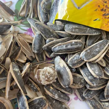 Gold Harvest Kuruyemiş Kara Sevda Çekirdekten Salyangoz Çıktı