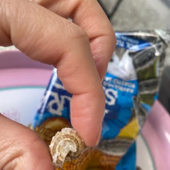 Gold Harvest Kuruyemiş Kara Sevda Çekirdekten Salyangoz Çıktı