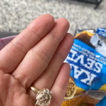 Gold Harvest Kuruyemiş Kara Sevda Çekirdekten Salyangoz Çıktı