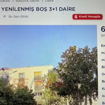 Remax Plus Şikayet