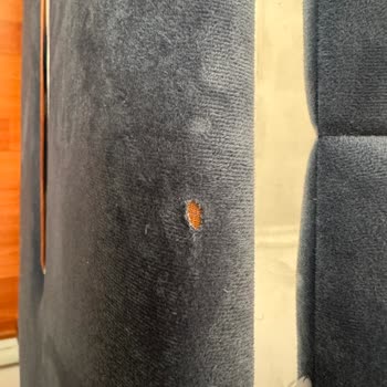 Mondi Şikayet Koltuk Takımı