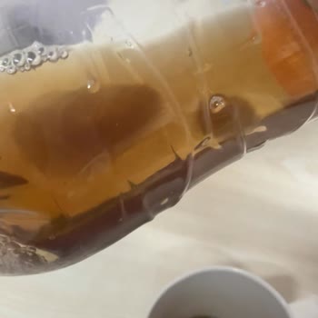 Lipton ice Tea Lipton Ice Tea'de Beklenmedik Sürpriz: İçecek Küfü
