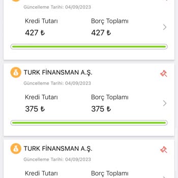 Türk Finansman Aş Borç Gözüküyor