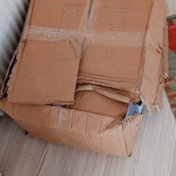 Sürat Kargo Desi Bilmecesi Buna Bir Açıklama Gelmeli
