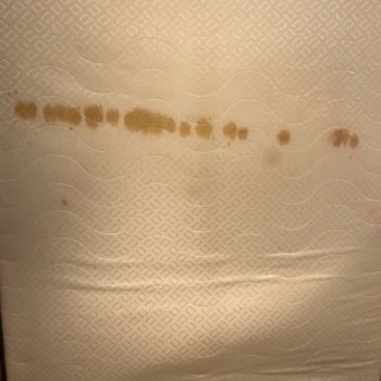 Yataş 01264457 Ortopedik Support Pocket Yatak Pas Lekesi Sorunu