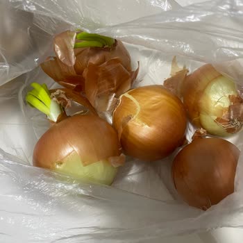 Migros'un Kalitesini Düşürmesi Ve Müşterilerin Mağdur Edilmesi!