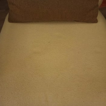 Enza Home Basel Koltuk Takımı Tüylenme Yün Toplama