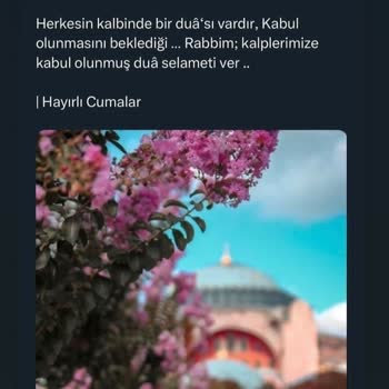 Oğuz Ev Concept Oğuzlar Mobilya Kanepe Şikayeti