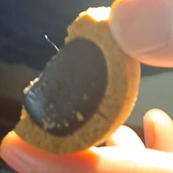 Torku Bisküvide Kıl... Hijyen Ve Sağlık Problemleri...