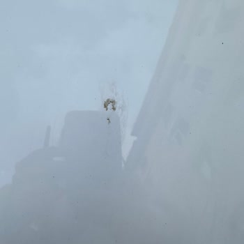 Autowax (Hilltown - Optimum) Araç Yıkama Hizmetinde Beklentiler Karşılanmadı