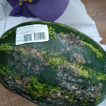Getir Karpuz Siparişim Hakkında