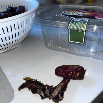 Tuğba Kuruyemiş Kurtlu Hurma Satıyor