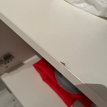 Meltem Mobilya'da Kırık Ürün Hayal Kırıklığı Ve Desteksizlik