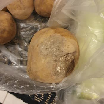Migros Hemen Ya Eksik Ya Da Çürük Ürün Gönderiyor
