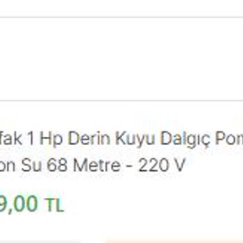 Hepsiburada'ya Yakışmadı. Dalgıç Pompa Siparişimin Yerine, Şort Geldi.