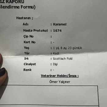 Bahçelievler Veteriner Kliniği Yanlış Tedavi Sonucu Kızımı Kaybettim Başka Canlarda Yanmasın