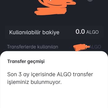 Paribu Bakiye Hatta Sorunu