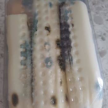 Taraklı Süt Taraklı Dil Peyniri Hakkında