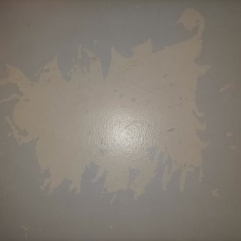 Dyo Boya Markasını (7565kodlu Buz Gümüşü) Yaşatmış Olduğu Mağduriyet