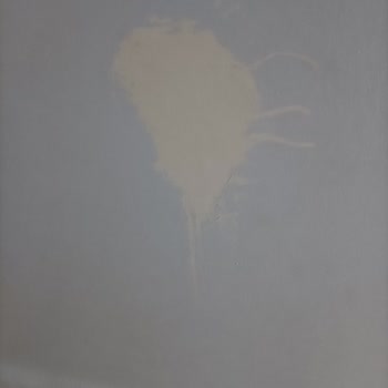 Dyo Boya Markasını (7565kodlu Buz Gümüşü) Yaşatmış Olduğu Mağduriyet