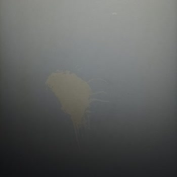 Dyo Boya Markasını (7565kodlu Buz Gümüşü) Yaşatmış Olduğu Mağduriyet