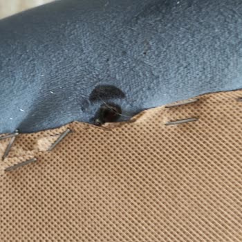 Mondi Statü Koltuk Takımı