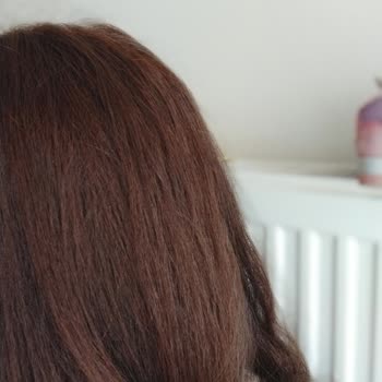 Palette 8.0 Pişmanlık Tır