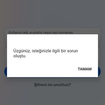 Instagram Hesaplarıma Giriş Yapamıyorum