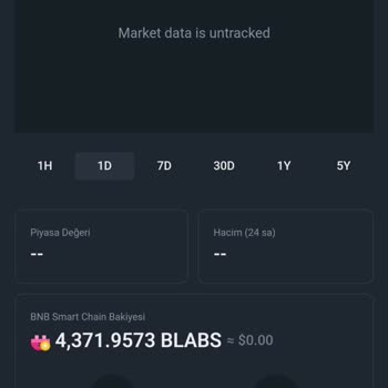 PancakeSwap Web 3 Cüzdanımdaki Alış-Satış Sorunu Ve Mağduriyetim