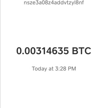 My Trust Wallet Funds Disappeared