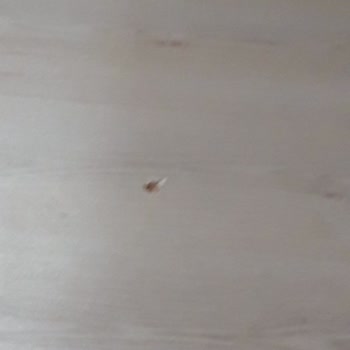 Vivense'den Hasarlı Masa Kurulumu