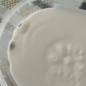 İçim Süt ve Süt Ürünleri İçim Kaymak Küflü!