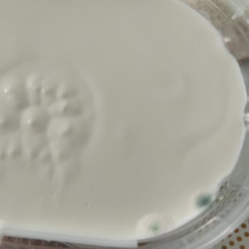 İçim Süt ve Süt Ürünleri İçim Kaymak Küflü!