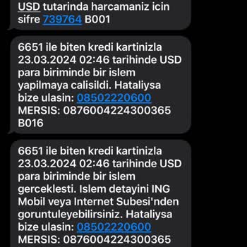 ING Kredi Kartımdan Bilgim Dışında USD Para Cinsinde Para Çekilmesi