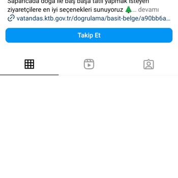 Dream Tatil Bungalov Sapanca Tatil Rezervasyonu Hayal Kırıklığı