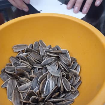 Migros Marketten Alınan Ay Çekirdeği