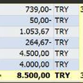 Getir Araç Kiralama Şikayet