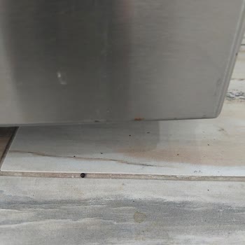 Bosch Buzdolabı Küflenme Sorunu