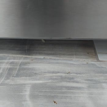 Bosch Buzdolabı Küflenme Sorunu