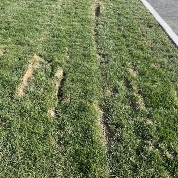 İBB - İstanbul Büyükşehir Belediyesi Suadiye Sahil Çim Alanlarının Altyapısı