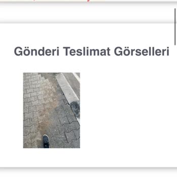 Scotty Kargo İşlem Sorumsuzluğu