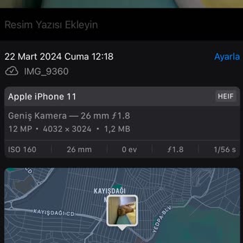 Scotty Kargo İşlem Sorumsuzluğu