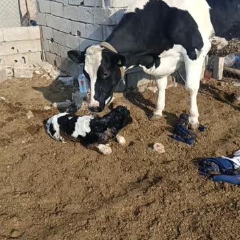 TARSİM'in Mağduriyetimin Gidermesini İstiyorum