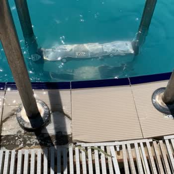 Halal Paradise Didim Tatilimizde Beklenmedik Misafirler Ve Sorunlar